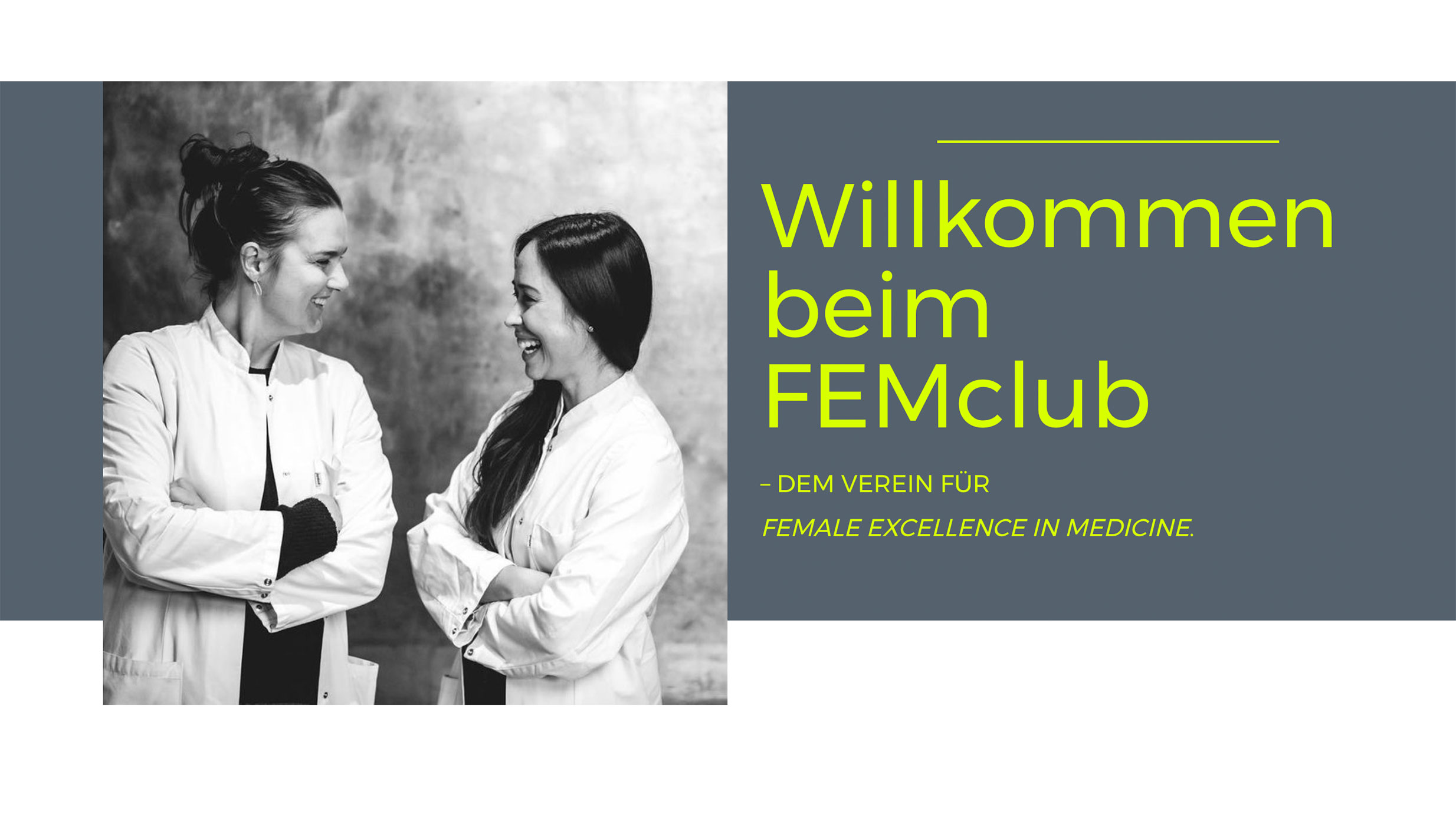 FEMclub Website